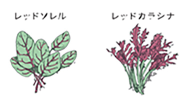 農業装置の清掃