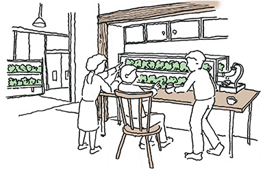 家の中で室内農業をしながら、野菜の栽培、収穫